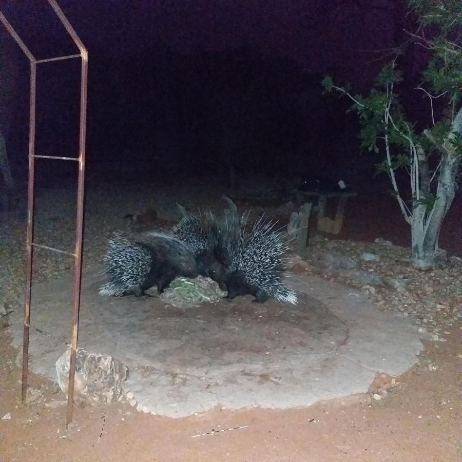Porcupine Camp Kamanjab Hotel Exterior photo